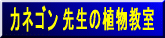 http://www.asahi-net.or.jp/~zh7k-knk/ カネゴン先生の植物教室
